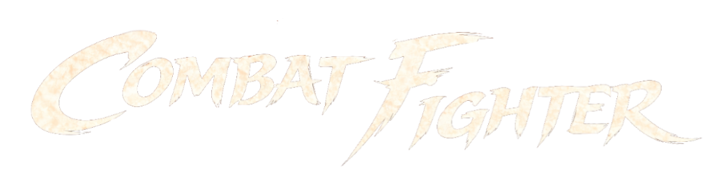 Combat Fighter mode artwork
